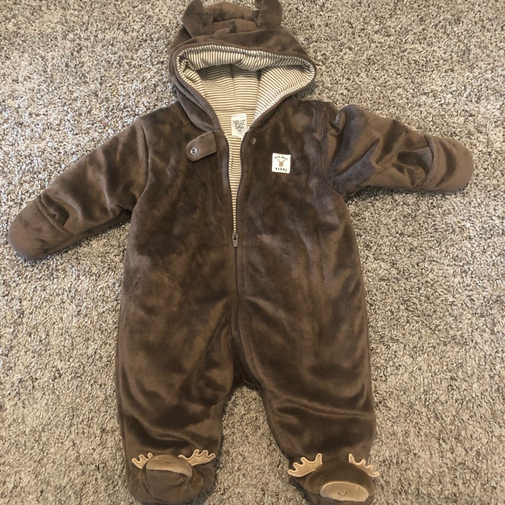 Hooded Bunting 3M